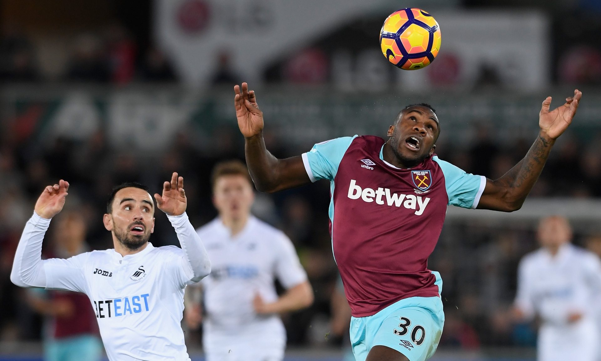 供了一个坚 供了一个坚