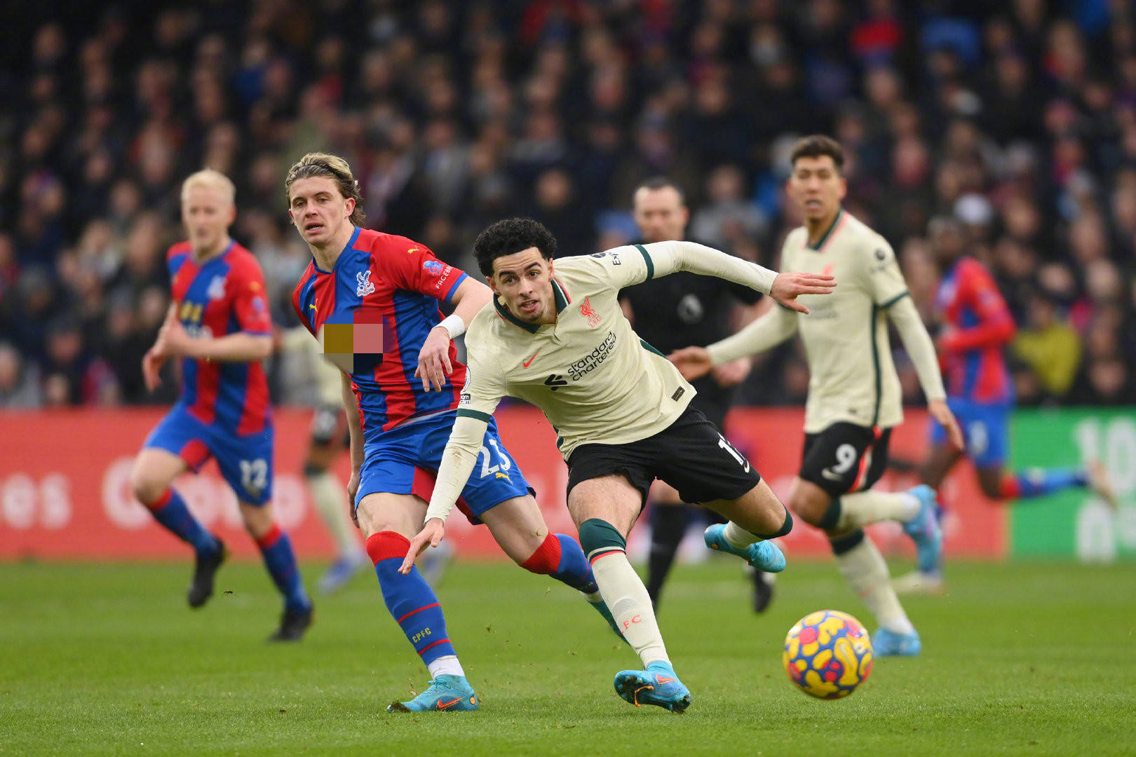 铁人三项赛 铁人三项赛